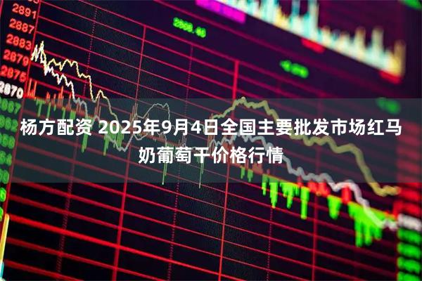 杨方配资 2025年9月4日全国主要批发市场红马奶葡萄干价格行情