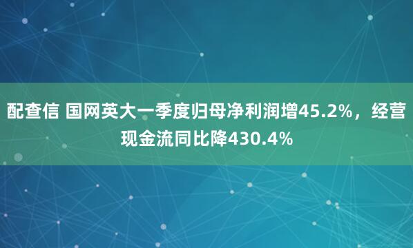 配查信 国网英大一季度归母净利润增45.2%，经营现金流同比降430.4%
