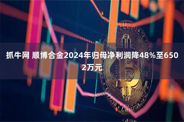 抓牛网 顺博合金2024年归母净利润降48%至6502万元