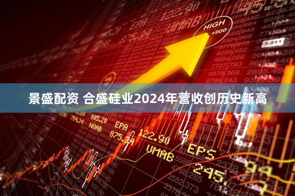 景盛配资 合盛硅业2024年营收创历史新高