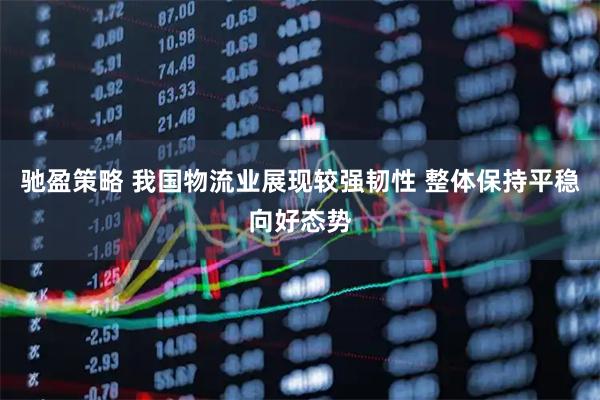 驰盈策略 我国物流业展现较强韧性 整体保持平稳向好态势