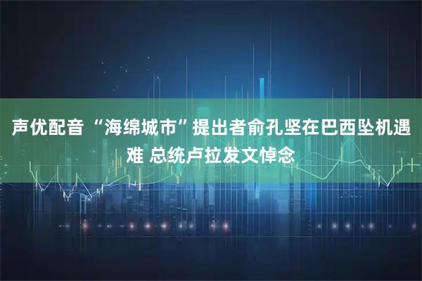 声优配音 “海绵城市”提出者俞孔坚在巴西坠机遇难 总统卢拉发文悼念