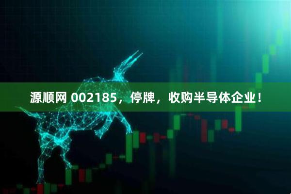 源顺网 002185，停牌，收购半导体企业！