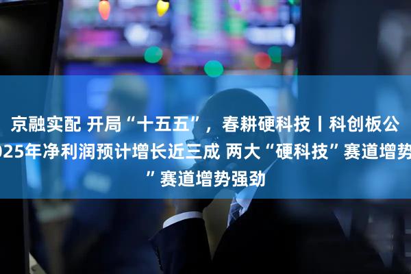 京融实配 开局“十五五”,春耕硬科技丨科创板公司2025年净利润预计增长近三成 两大“硬科技”赛道增势强劲
