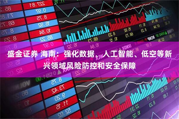 盛金证券 海南：强化数据、人工智能、低空等新兴领域风险防控和安全保障